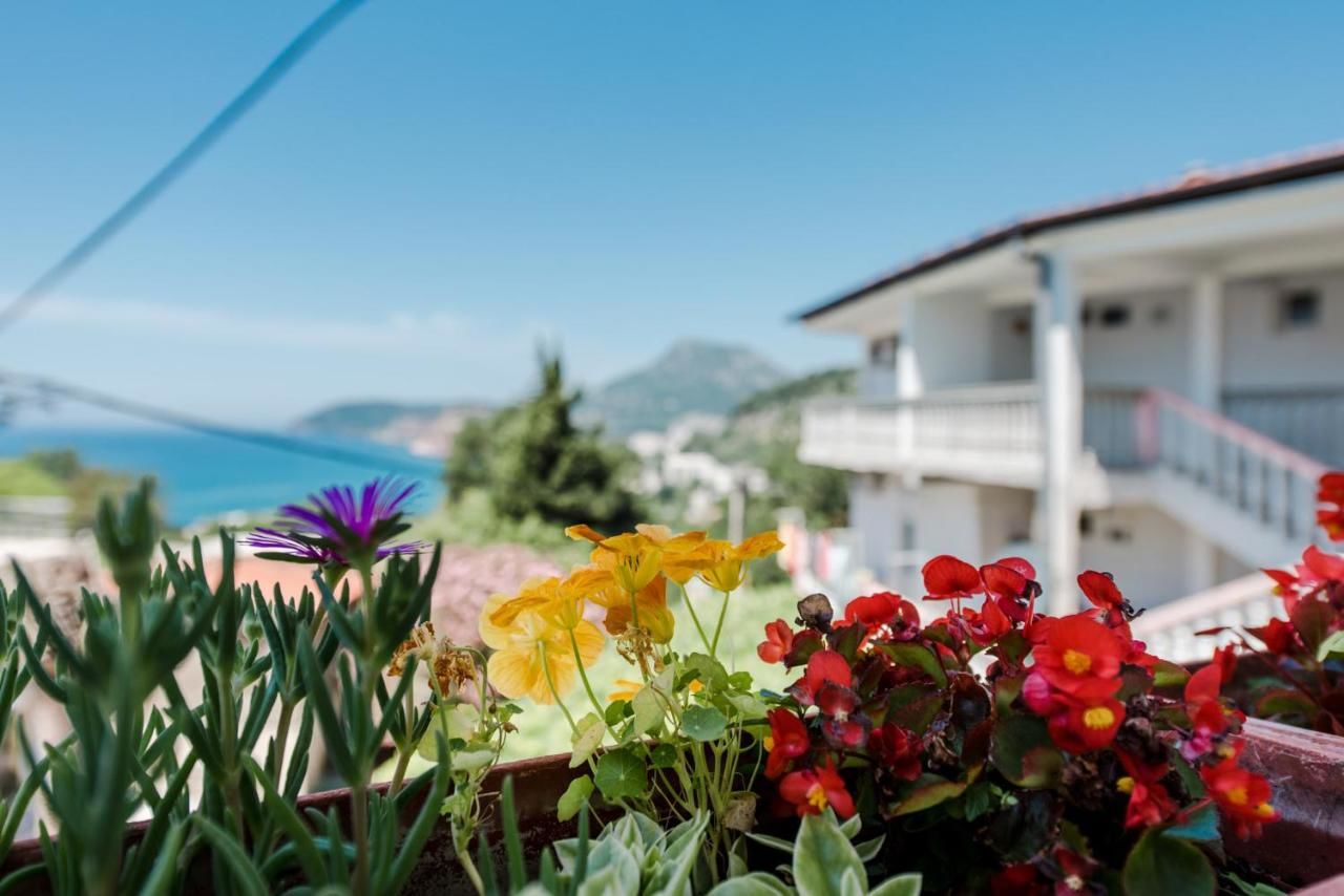 Апартаменты Apartments Vukmarković Сутоморе-19